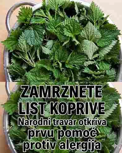 Iako brojni ljudi imaju pozitivna iskustva, važno je znati da kopriva nije zamjena za medicinsku terapiju. Osobe koje imaju ozbiljne alergijske reakcije ili koriste lijekove trebaju se posavjetovati sa ljekarom prije korištenja biljnih pripravaka. Prirodna podrška organizmu Uz zdravu ishranu, dovoljno sna i boravak na svježem zraku, kopriva može biti koristan dodatak svakodnevnim navikama. Prirodne biljke često predstavljaju jednostavan način da se organizam osjeća snažnije i otpornije tokom promjena godišnjih doba.