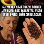 Chia sjemenke Sadrže vlakna i antioksidanse koji podržavaju zdravlje srca. Sjemenke bundeve Izvor cinka i zdravih masti, korisne za imunitet i opšte zdravlje. Važno je naglasiti: one mogu podržati organizam, ali ne mogu izliječiti rak, dijabetes ili visoki krvni pritisak. Šta zaista pomaže? Redovne ljekarske kontrole Terapija propisana od strane stručnjaka Uravnotežena ishrana Fizička aktivnost Kontrola tjelesne težine i stresa