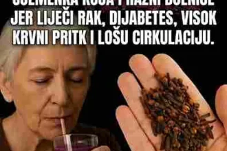 Chia sjemenke Sadrže vlakna i antioksidanse koji podržavaju zdravlje srca. Sjemenke bundeve Izvor cinka i zdravih masti, korisne za imunitet i opšte zdravlje. Važno je naglasiti: one mogu podržati organizam, ali ne mogu izliječiti rak, dijabetes ili visoki krvni pritisak. Šta zaista pomaže? Redovne ljekarske kontrole Terapija propisana od strane stručnjaka Uravnotežena ishrana Fizička aktivnost Kontrola tjelesne težine i stresa