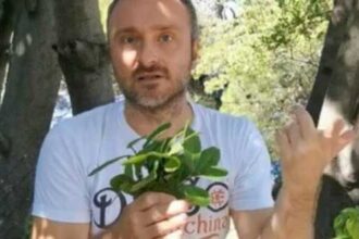 Čestoslavica ili Veronika (Veronica officinalis) je višegodišnja zeljasta biljka. Mnoštvo sitnih svijetlo-plavih ili svijetlo-ljubičastih cvjetova sakupljeno je u grozdaste cvasti, a njeni nazubljeni, zeleni listovi, sa naličja su ljubičasti i maljavi. Upotreba u narodnoj medicini Zbog svog delovanja na „čišćenje krvi“ čestoslavica je nekada korišćena za liječenje gubavosti Zapisi o upotrebi čestoslavice kao ljekovite biljke mogu se naći u djelima Hijeronimusa Boša u XVI veku, kao i kod Sebastijana Knajpa, koji su ovu biljku preporučivali kao univerzalni lijek za mnoge bolesti. (Tekst se nastavlja ispod) Tradicionalno upotrebljavana kao sredstvo protiv tuberkuloze, za olakšavanje iskašljavanja, i za preznojavanje, čestoslavica se koristi i kod bolesti organa za varenje, jetre, slezine, bubrega i mokraćnih puteva, kao i za ublažavanje tegoba kod gihta i reumatskih oboljenja. Upotreba se preporučuje i za ublažavanje vrtoglavice i nervoze izazvane pojačanim intelektualnim naporima. U narodnoj medicini se koristi kod ekcema, za ublažavanje svraba kože, i za ispiranje kao sredstvo za ubrzanje zarastanja rana. Blagotvorno dejstvo Ljudi uzimaju veroniku za probleme sa: – plućima (respiratorni trakt) – želucem i crijevima (gastrointestinalni trakt) – bešikom i bubrezima (mokraćni trakt) – za giht, artritis – bolove u mišićima i zglobovima (reumatizam) – gubitak apetita – probleme sa jetrom i bolesti slezine Veronika se takođe koristi kao tonik, za izazivanje znojenja, za “pročišćavanje” krvi i za povećanje metabolizma. Neki ljudi ispiraju grlo Veronikom za smirivanje upale usta i grla. Ponekad se nanosi direktno na kožu kako bi se zaustavilo znojenje stopala, zaliječile rane i tretirali tekući problemi kože i svrab. (Tekst se nastavlja ispod) Čuveni srpski travar Momčilo Antonijević, podelio je nekoliko recepata za spremanje veronike, a za vas smo izdvojili dva.Čajna mešavina protiv hroničnih kožnih oboljenja, ekcema i dermatitisa – Čestoslavica (Veronica officinalis) 50g – Kopriva list (Urtica dioica) 50g – Divlja dan i noć (Viola tricolor) 50g Sve biljke pomiješajte pa tri supene kašike smješe prelijte sa 750 ml ključale vode, promiješajte, poklopite i ostavite da stoji pola sata. Procijedite i popijte u toku dana u manjim gutljajima nezaslađeno. Čajna mješavina za bolje pamćenje i protiv mentalnog zamora – Čestoslavica (Veronica officinalis) 50g – Ruzmarin (Rosmarinus officinalis) 50g – Matičnjak (Melissa officinalis) 50g – List celera (Apium graveolens) 50g Sve biljke pomiješajte pa jednu supenu kašiku smješe prelijte šoljom ključale vode, promiješajte, poklopite i ostavite da stoji pola sata, procijedite i popijte u toplo. Dnevno se pije dvije do tri šolje.