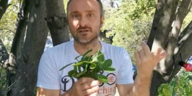 Čestoslavica ili Veronika (Veronica officinalis) je višegodišnja zeljasta biljka. Mnoštvo sitnih svijetlo-plavih ili svijetlo-ljubičastih cvjetova sakupljeno je u grozdaste cvasti, a njeni nazubljeni, zeleni listovi, sa naličja su ljubičasti i maljavi. Upotreba u narodnoj medicini Zbog svog delovanja na „čišćenje krvi“ čestoslavica je nekada korišćena za liječenje gubavosti Zapisi o upotrebi čestoslavice kao ljekovite biljke mogu se naći u djelima Hijeronimusa Boša u XVI veku, kao i kod Sebastijana Knajpa, koji su ovu biljku preporučivali kao univerzalni lijek za mnoge bolesti. (Tekst se nastavlja ispod) Tradicionalno upotrebljavana kao sredstvo protiv tuberkuloze, za olakšavanje iskašljavanja, i za preznojavanje, čestoslavica se koristi i kod bolesti organa za varenje, jetre, slezine, bubrega i mokraćnih puteva, kao i za ublažavanje tegoba kod gihta i reumatskih oboljenja. Upotreba se preporučuje i za ublažavanje vrtoglavice i nervoze izazvane pojačanim intelektualnim naporima. U narodnoj medicini se koristi kod ekcema, za ublažavanje svraba kože, i za ispiranje kao sredstvo za ubrzanje zarastanja rana. Blagotvorno dejstvo Ljudi uzimaju veroniku za probleme sa: – plućima (respiratorni trakt) – želucem i crijevima (gastrointestinalni trakt) – bešikom i bubrezima (mokraćni trakt) – za giht, artritis – bolove u mišićima i zglobovima (reumatizam) – gubitak apetita – probleme sa jetrom i bolesti slezine Veronika se takođe koristi kao tonik, za izazivanje znojenja, za “pročišćavanje” krvi i za povećanje metabolizma. Neki ljudi ispiraju grlo Veronikom za smirivanje upale usta i grla. Ponekad se nanosi direktno na kožu kako bi se zaustavilo znojenje stopala, zaliječile rane i tretirali tekući problemi kože i svrab. (Tekst se nastavlja ispod) Čuveni srpski travar Momčilo Antonijević, podelio je nekoliko recepata za spremanje veronike, a za vas smo izdvojili dva.Čajna mešavina protiv hroničnih kožnih oboljenja, ekcema i dermatitisa – Čestoslavica (Veronica officinalis) 50g – Kopriva list (Urtica dioica) 50g – Divlja dan i noć (Viola tricolor) 50g Sve biljke pomiješajte pa tri supene kašike smješe prelijte sa 750 ml ključale vode, promiješajte, poklopite i ostavite da stoji pola sata. Procijedite i popijte u toku dana u manjim gutljajima nezaslađeno. Čajna mješavina za bolje pamćenje i protiv mentalnog zamora – Čestoslavica (Veronica officinalis) 50g – Ruzmarin (Rosmarinus officinalis) 50g – Matičnjak (Melissa officinalis) 50g – List celera (Apium graveolens) 50g Sve biljke pomiješajte pa jednu supenu kašiku smješe prelijte šoljom ključale vode, promiješajte, poklopite i ostavite da stoji pola sata, procijedite i popijte u toplo. Dnevno se pije dvije do tri šolje.