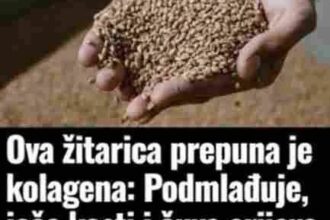 Jednostavno, pristupačno i korisno Ovu žitaricu možete pripremati kao kašu, dodavati u supe, variva ili koristiti kao zamjenu za rižu. Lako se kombinuje s povrćem, jogurtom ili blagim začinima, što je čini idealnom za svakodnevne obroke.