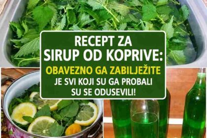 Kako koristiti sirup Sirup od koprive možete razrijediti s vodom i piti kao osvježavajući napitak, posebno tokom toplih dana. Također ga možete dodati u čaj ili koristiti kao dodatak desertima. Redovna konzumacija u umjerenim količinama može doprinijeti boljem zdravlju i vitalnosti. Obavezno zabilježite ovaj recept jer svi koji su ga probali oduševljeni su njegovim okusom i efektima!