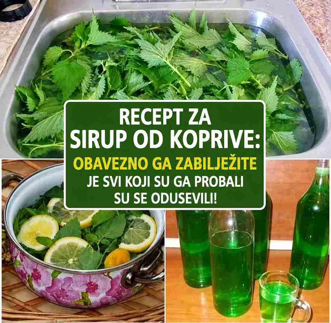 Kako koristiti sirup Sirup od koprive možete razrijediti s vodom i piti kao osvježavajući napitak, posebno tokom toplih dana. Također ga možete dodati u čaj ili koristiti kao dodatak desertima. Redovna konzumacija u umjerenim količinama može doprinijeti boljem zdravlju i vitalnosti. Obavezno zabilježite ovaj recept jer svi koji su ga probali oduševljeni su njegovim okusom i efektima!