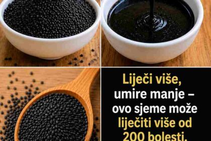 # Otkrijte drevnu sjemenku koja osvaja ljubitelje prirodnog zdravlja: Crni susam i jednostavni načini kako ga koristiti **Objavljeno: 17. juli 2026.** U današnjem brzom načinu života mnogi traže jednostavne, prirodne namirnice koje mogu obogatiti svakodnevnu ishranu i doprinijeti općem osjećaju vitalnosti. Uz brojne obaveze često je teško unijeti dovoljno hranjivih sastojaka, pa su male promjene u prehrani dobrodošle. Upravo zato crni susam postaje sve popularniji. Ove sitne sjemenke bogate su vrijednim nutrijentima, imaju ugodan orašasti okus i lako se uklapaju u različita jela. Na kraju članka pronaći ćete i jednostavan recept koji možete pripremiti kod kuće. ## Šta čini crni susam posebnim? Crni susam se stoljećima koristi u mnogim kulturama, posebno u azijskoj kuhinji i tradicionalnim načinima ishrane. Za razliku od bijelog susama, crni susam ima tamnu opnu koja sadrži prirodne pigmente i daje mu intenzivniji, bogatiji okus. Samo dvije kašike (oko 14 g) sadrže približno: * Oko **100 kalorija** * **3 g proteina** * **9 g zdravih masti** (nezasićene masne kiseline) * **2 g vlakana** * Značajne količine **kalcija, magnezija, željeza, bakra i mangana** Crni susam također sadrži vitamin E (gama-tokoferol) te prirodne spojeve poput **sesamina** i **sesamolina**, koji su poznati po svojim antioksidativnim svojstvima. ## Nutritivne prednosti Crni susam je cijenjen zbog svog bogatog sastava. Naučna istraživanja ističu prisustvo lignana i fenolnih spojeva koji doprinose njegovoj popularnosti u uravnoteženoj prehrani. Najvažniji nutrijenti uključuju: * **Kalcij** – važan za zdravlje kostiju. * **Magnezij** – doprinosi normalnoj funkciji mišića i proizvodnji energije. * **Željezo** – neophodno za normalno stvaranje crvenih krvnih zrnaca. * **Antioksidansi** – uključuju vitamin E i lignane. Osim nutritivne vrijednosti, crni susam jelima daje bogatu aromu i prijatnu hrskavost, zbog čega se odlično uklapa u slana i slatka jela. ## Šta kažu istraživanja? Interes naučnika za susam posljednjih godina značajno raste. Brojna laboratorijska istraživanja, studije na životinjama i pojedine studije na ljudima ispituju djelovanje njegovih bioaktivnih spojeva. Dosadašnja istraživanja ukazuju da: * **Antioksidativni spojevi**, poput sesamina, mogu pomoći u zaštiti ćelija od oksidativnog stresa. * Redovna konzumacija susama kao dijela uravnotežene prehrane može imati pozitivan utjecaj na određene pokazatelje zdravlja srca, uključujući nivo masnoća u krvi i krvni pritisak. * Tradicionalna medicina često povezuje crni susam s podrškom vitalnosti organizma, iako su potrebna dodatna istraživanja kako bi se potvrdili svi potencijalni učinci. Važno je naglasiti da nijedna pojedinačna namirnica nije čudesan lijek. Najbolje rezultate donose uravnotežena prehrana, fizička aktivnost i zdrav način života. ## Kako koristiti crni susam? Postoji mnogo jednostavnih načina da ga uključite u svakodnevnu ishranu: * Lagano ga prepecite i pospite preko zobenih pahuljica, jogurta ili salate. * Dodajte jednu kašiku u smoothie. * Koristite ga u pripremi hljeba, keksa ili energetskih pločica. * Pomiješajte ga s medom ili tahinijem i napravite ukusan namaz. ## Recept: Domaća pasta od crnog susama ### Sastojci: * 1 šolja crnog susama * 1–2 kašike sezamovog ili kokosovog ulja * Po želji malo meda ili javorovog sirupa ### Priprema: 1. Prepecite susam u suhoj tavi na srednje laganoj vatri 5–8 minuta uz stalno miješanje. 2. Ostavite da se kratko ohladi. 3. Prebacite ga u blender ili multipraktik. 4. Postepeno dodajte ulje i miksajte dok ne dobijete glatku kremastu pastu. 5. Čuvajte u zatvorenoj staklenoj posudi u frižideru do dvije sedmice. Pastu možete dodati u toplo mlijeko ili biljni napitak, namazati na tost ili koristiti kao dodatak desertima. ## Još ideja za upotrebu * **Latte od crnog susama** – dodajte kašiku paste u toplo mlijeko. * **Energetske kuglice** – pomiješajte pastu sa zobenim pahuljicama, hurmama i orašastim plodovima. * **Preliv za salatu** – kombinujte sa sirćetom, maslinovim uljem i začinskim biljem. ## Često postavljana pitanja ### Da li je crni susam bolji od bijelog? Obje vrste imaju sličnu nutritivnu vrijednost. Crni susam sadrži više prirodnih pigmenata i može imati nešto veći sadržaj određenih antioksidansa i minerala. ### Koliko se preporučuje dnevno? Većina ljudi može započeti s **1–2 kašike dnevno** kao dijelom raznovrsne i uravnotežene prehrane. ### Može li se koristiti sezamovo ulje? Da. Sezamovo ulje je odličan izbor za pripremu hrane i salata te sadrži vrijedne nezasićene masti i karakterističan okus. ## Zaključak Crni susam je drevna namirnica koja i danas ima posebno mjesto u modernoj prehrani. Bogat je mineralima, zdravim mastima, vlaknima i antioksidansima, a zahvaljujući svom orašastom okusu lako se uklapa u svakodnevne obroke. Ako želite obogatiti svoju ishranu prirodnim sastojcima, crni susam može biti odličan izbor. **Napomena:** Ovaj članak služi isključivo u informativne svrhe i ne predstavlja medicinski savjet. Informacije se temelje na općim naučnim istraživanjima i tradicionalnoj upotrebi. Prije značajnijih promjena u ishrani posavjetujte se s ljekarom ili kvalificiranim zdravstvenim stručnjakom, posebno ako imate hronične zdravstvene probleme, alergije ili ste trudni. Rezultati mogu biti različiti od osobe do osobe.