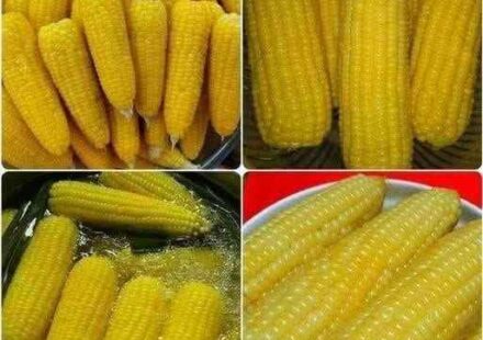 🌽 Savršeno kuhani kukuruz – Kuharska tajna za sočan i ukusan okus