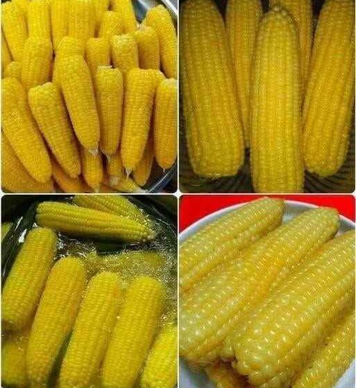 🌽 Savršeno kuhani kukuruz – Kuharska tajna za sočan i ukusan okus