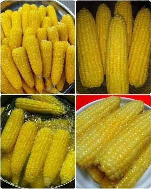 🌽 Savršeno kuhani kukuruz – Kuharska tajna za sočan i ukusan okus