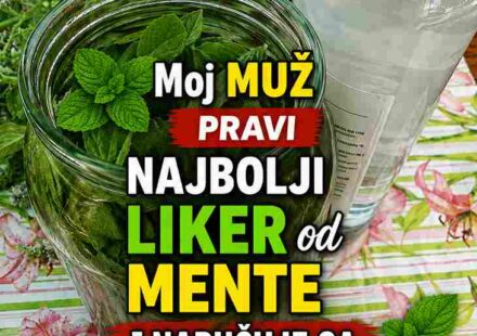 🌿 Moj muž pravi najbolji liker od mente – naručuje ga cijela ulica!