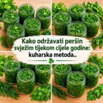 Osim toga, biljne komponente mogu imati protuupalno i antioksidativno djelovanje. Neka istraživanja pokazuju da konzumacija peršina poboljšava probavu, jača srce i potiče mršavljenje. Stoga nikada ne smijete propustiti peršin u kuhinji. Ali kako osigurati da je uvijek svježa i pravilno pohranjena? Reći ćemo vam tajne kuhara. Prvi korak je isprati peršin u vodi. Uklonite sve suhe ili oštećene listove i stabljike. Zatim oprani peršin rasporedite na nekoliko listova papirnatih ručnika da se osuši. Napunite čašu do pola vodom, po mogućnosti u čaši, jer će to pomoći da hrana duže ostane svježa. Zatim, kao i kod rezanog cvijeća, umočite stabljike peršina u vodu u čaši. Pokrijte čašu plastičnom vrećicom, poput vrećice za zamrzavanje. Učvrstite vrećicu gumenom trakom, a zatim je omotajte oko vrha čaše. Škarama odrežite dva vanjska ruba vrećice kako biste omogućili protok zraka. Staklenka peršina sada se može čuvati u hladnjaku. Najbolje ga je staviti u pretinac za boce unutar vrata hladnjaka. Ako nemate dovoljno prostora u hladnjaku, peršin možete duže čuvati tako što ćete ga sitno nasjeckati u staklenku. Prije zatvaranja staklenke stavite papirnati ubrus između poklopca i otvora. Čašu možete staviti i naopako u hladnjak, po mogućnosti naopako. Prvi korak je isprati peršin u vodi. Uklonite sve suhe ili oštećene listove i stabljike. Zatim oprani peršin rasporedite na nekoliko listova papirnatih ručnika da se osuši. Napunite čašu vodom, po mogućnosti do polovice, tako da peršin duže ostaje svjež. Zatim, kao i kod rezanog cvijeća, umočite stabljike peršina u vodu u čaši. Pokrijte čašu plastičnom vrećicom, poput vrećice za kupovinu. Učvrstite vrećicu gumenom trakom, a zatim je omotajte oko vrha čaše. Škarama odrežite dva vanjska ruba vrećice kako biste omogućili protok zraka. Sada staklenku peršina možete staviti u hladnjak. Najbolje je staviti ga u držač za boce unutar vrata hladnjaka. Ako nemate dovoljno prostora u hladnjaku, peršin možete duže sačuvati tako što ćete ga sitno nasjeckati u staklenku. Prije zatvaranja staklenke stavite papirnati ubrus između poklopca i otvora. Čašu možete staviti i naopako u hladnjak, po mogućnosti okrenutu naopako.