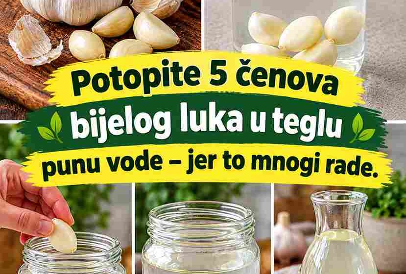 Potopite 5 čenova bijelog luka u teglu punu vode – zašto to mnogi rade