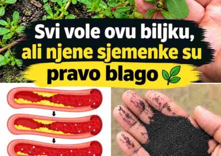Skrivena moć sjemenki tušta 🌱⚫